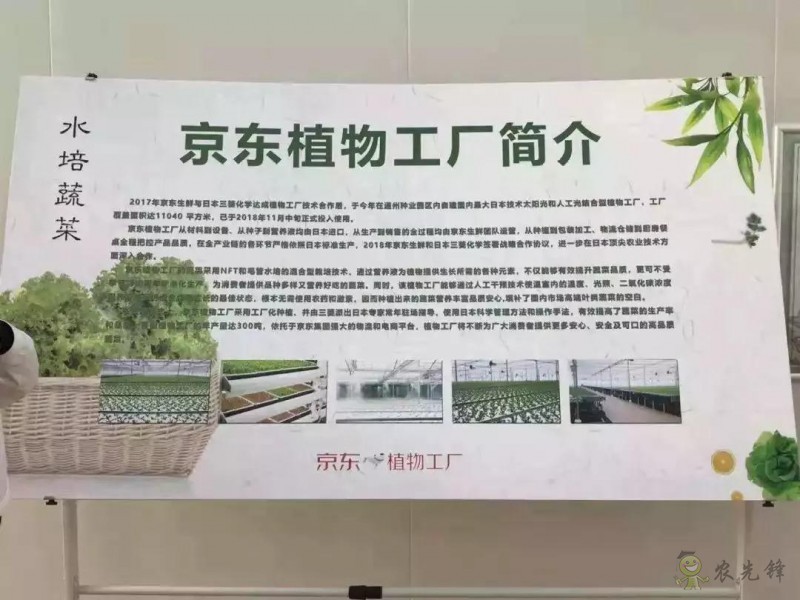 京東的這些“網紅”農業項目，你都知道嗎？