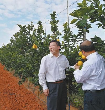 國家現(xiàn)代農(nóng)業(yè)（柑橘）首席科學家鄧秀新數(shù)十年助力農(nóng)民增收