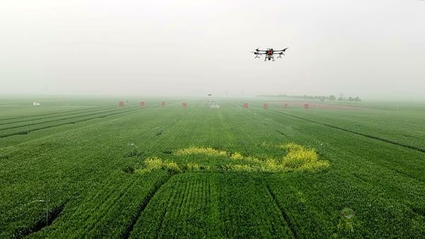 河南尉氏縣：5G+智慧農業 農田里有了這些&ldquo;黑科技&rdquo;