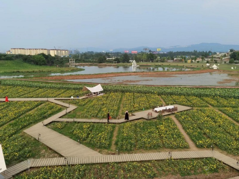 以創(chuàng)建農(nóng)業(yè)國際貿(mào)易高質(zhì)量發(fā)展基地為契機(jī)——推動中國農(nóng)業(yè)國際合作邁向新高度
