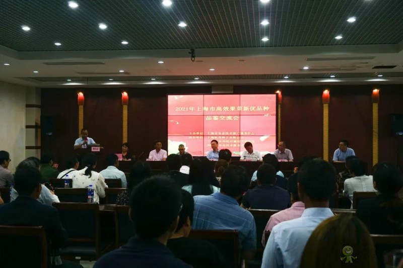 高效果菜新優品種品鑒交流會舉行，一批優質新品種有望走上市民餐桌