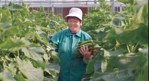 ?鄉村振興，壽光答卷