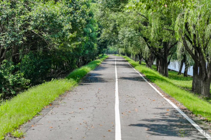 松江首個(gè)開(kāi)放式休閑林地建成開(kāi)放