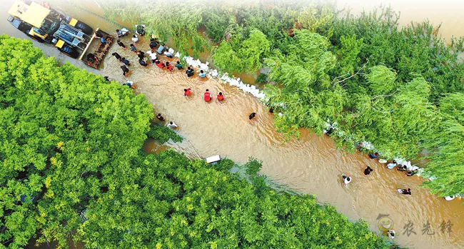 【觀點】建好農村應急防御機制,才能與極端天氣短兵相接