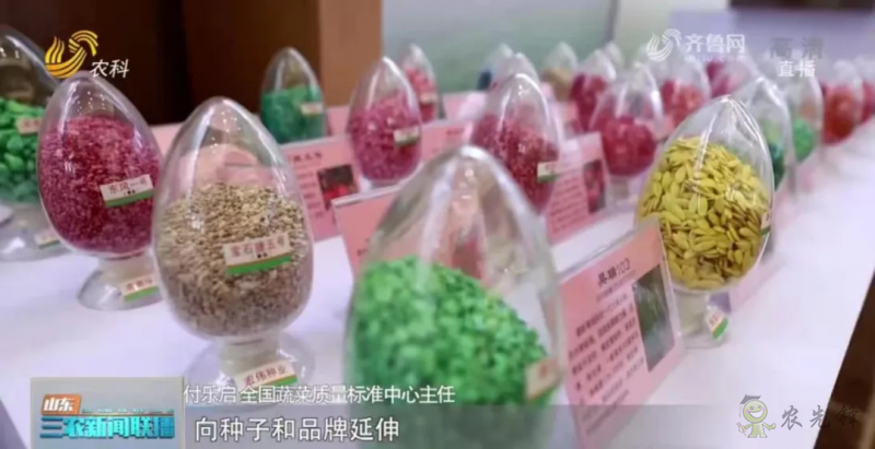 “壽光標準”向全國輸出 推動蔬菜產(chǎn)業(yè)提檔升級