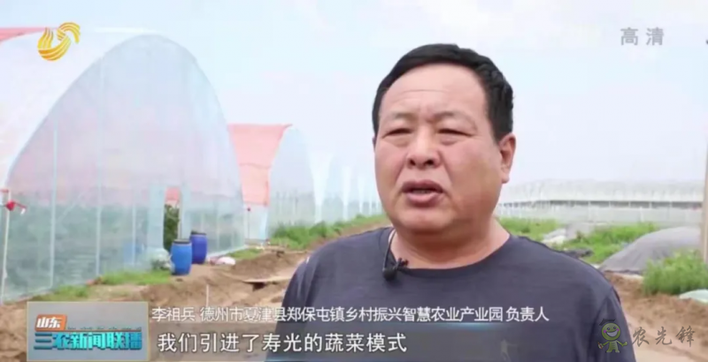 “壽光標準”向全國輸出 推動蔬菜產(chǎn)業(yè)提檔升級