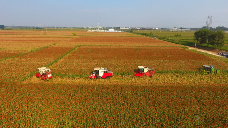 衡水市:全域推進高效節(jié)水農(nóng)業(yè)