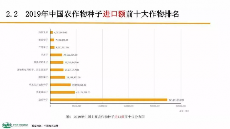 中國每年進口7萬噸“洋種子”：14億人的飯碗，能端穩(wěn)嗎？