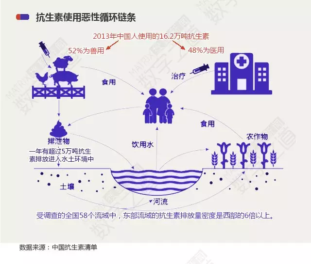“抗生素肉”擺滿中國人餐桌,豬肉含量居然是牛肉的5倍!