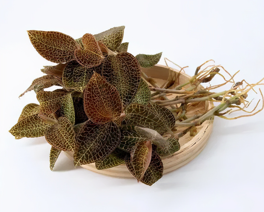 「植物工廠」為中藥材產(chǎn)業(yè)插上&ldquo;科技翅膀&rdquo;