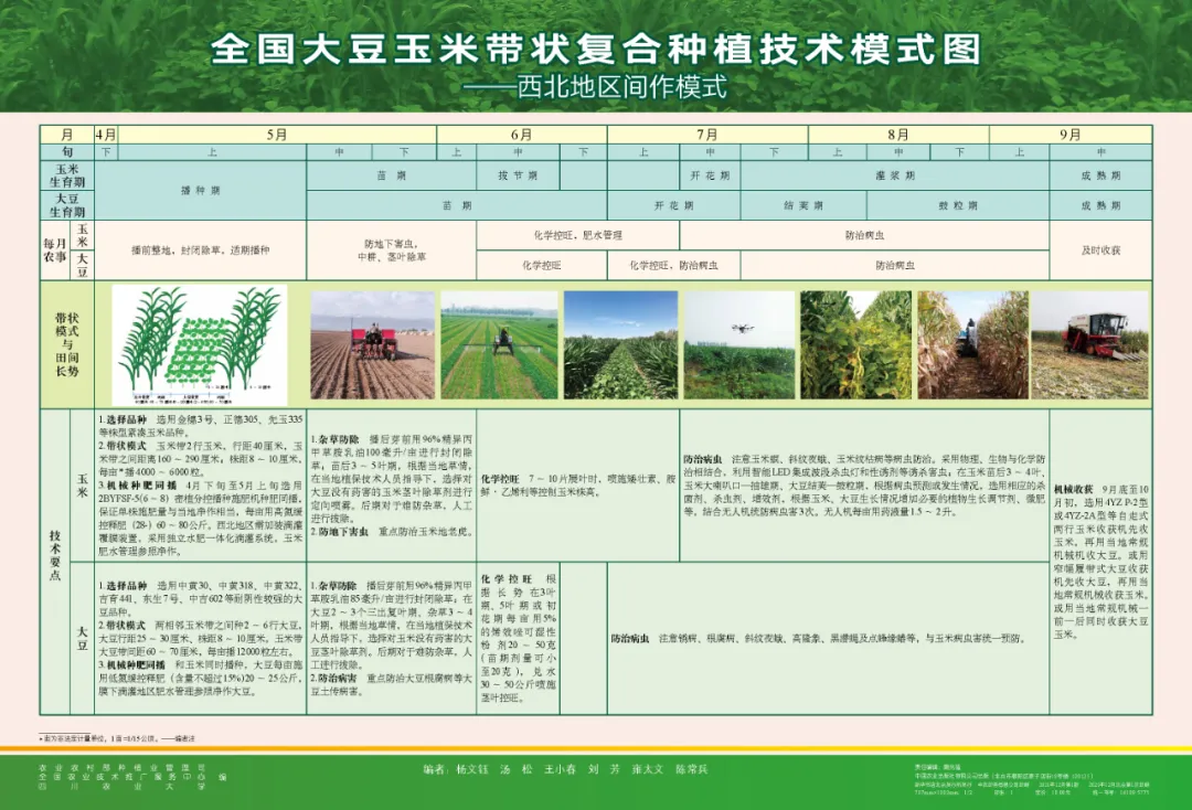 玉米大豆長期發(fā)展趨勢！大豆自產(chǎn)量可增三倍，利潤翻倍！