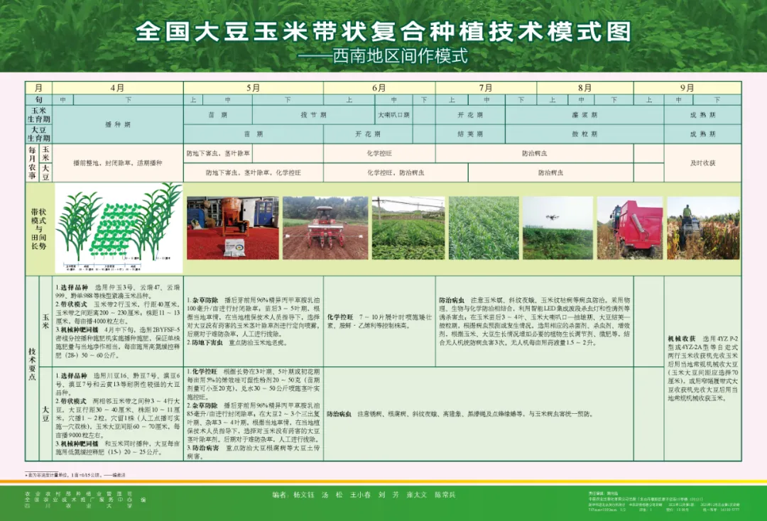 玉米大豆長期發(fā)展趨勢！大豆自產(chǎn)量可增三倍，利潤翻倍！
